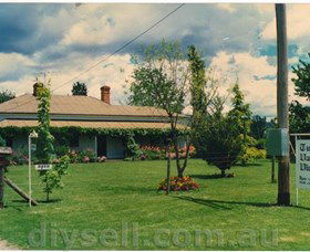 Tumut Valley Violets - Tourism TAS 0