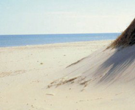 Lilley's Beach - Tourism TAS 2