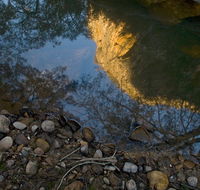 Abercrombie Karst Conservation Reserve - Hobart Tourism