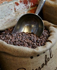 Bright Chocolate - Tourism TAS 5