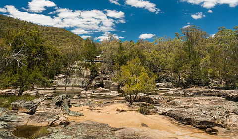 Warrabah National Park - Hobart Tourism 3