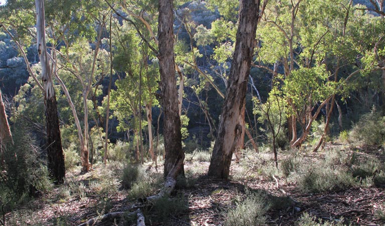 Abercrombie NSW Hobart Tourism