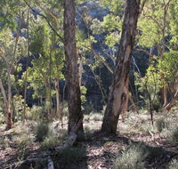 Mount Gray walking track - Hobart Tourism