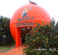 Gayndahs Big Orange - Tourism TAS
