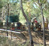 7 Oaks Sapphire Fossicking - Tourism TAS