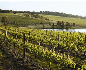 Yabby Lake Vineyard & Cellar Door - Tourism TAS 7