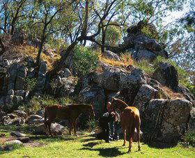  Tourism TAS