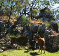 Coomba Falls - Tourism TAS