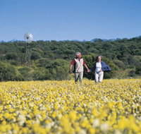 Koolanooka Springs - Tourism TAS