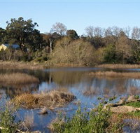Coolart Wetlands and Homestead - Tourism TAS