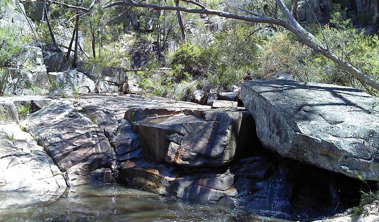 Emmaville NSW Tourism TAS