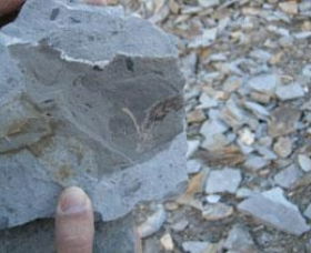 Fossil Rock - Hobart Tourism 1