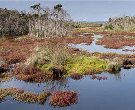 French Island National Park - Hobart Tourism 0