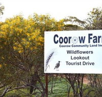 Coorow Farm Wildflower Trail - Tourism TAS