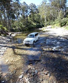 Aberfeldy Four Wheel Drive Track - Tourism TAS 0