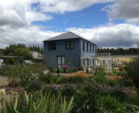 Paci Spa - Tourism TAS 3