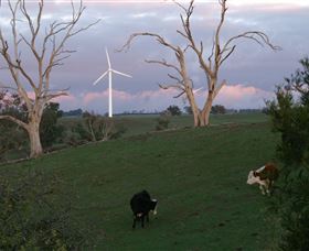 Crookwell Wind Farm - Hobart Tourism 1