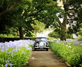 Queens Park, Toowoomba - Tourism TAS 3