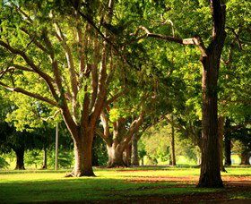 Queens Park, Toowoomba - Tourism TAS 1