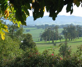 Brandy Creek Wines & View Cafe - Tourism TAS 5