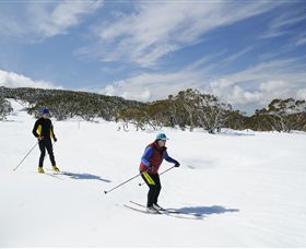 Mt Baw Baw Alpine Resort - Tourism TAS 2