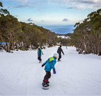 Mt Baw Baw Alpine Resort - Tourism TAS