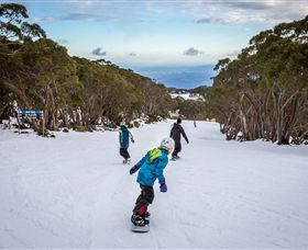 Mt Baw Baw Alpine Resort - Tourism TAS 0