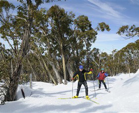 Mt Baw Baw Alpine Resort - Tourism TAS 4