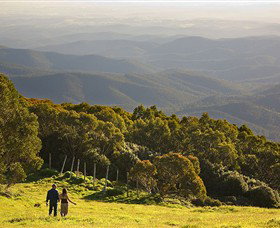 Mt Baw Baw Alpine Resort - Tourism TAS 6