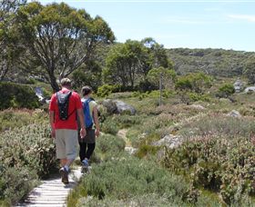 Mt Baw Baw Alpine Resort - Tourism TAS 7