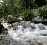Washpool National Park - Tourism TAS
