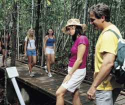 Toowoomba Water Bird Habitat - Hobart Tourism 1