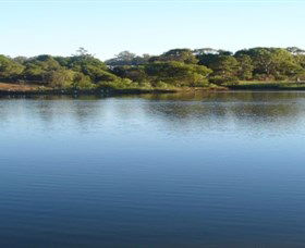 Toowoomba Water Bird Habitat - Hobart Tourism 2