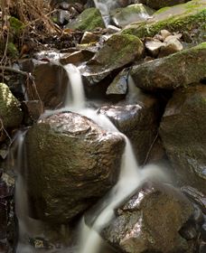Arc-en-Ciel Trout Farm - Hobart Tourism 1