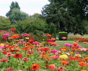 Alma Park - Tourism TAS 0