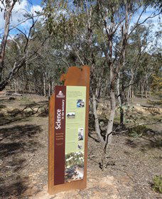 Mulligans Flat - Tourism TAS 1