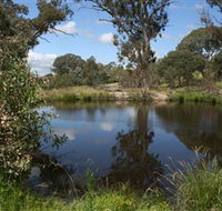 Cooleman Ridge - Tourism TAS
