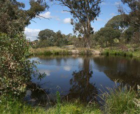 Cooleman Ridge - Tourism TAS 0