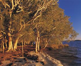 East Coast Adventure Bus - Tourism TAS 2
