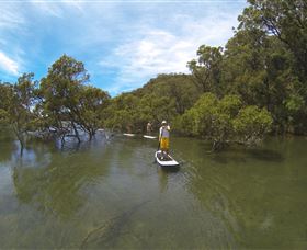 EcoTreasures - Tourism TAS 1