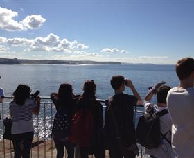 EcoTreasures - Tourism TAS 3