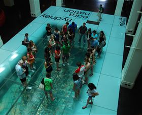 I'm Free Tours - Tourism TAS 1