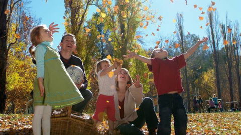 Cotter Avenue Recreation Area - Hobart Tourism 3