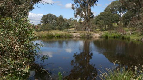 Cooleman Ridge - Tourism TAS 3