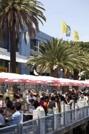 Sydneys Fish Market - Tourism TAS 1