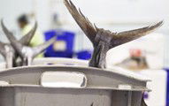 Sydneys Fish Market - Tourism TAS 3