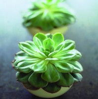 Crossroads Homemaker Centre - Hobart Tourism 1