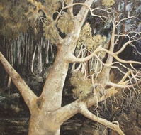 Ku-Ring-Gai Art Centre  Gallery - Hobart Tourism