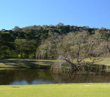 Antill Park Country Golf Club - Tourism TAS 1
