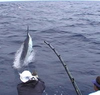 Amokura Charters - Tourism TAS